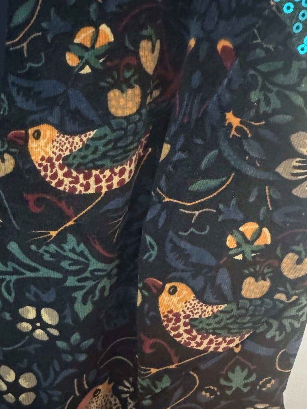 Rare Eva Franco Anthro Larksong Corduroy Bird Dress 2 Sequin Mesh Sleeves - Picture 4 of 6